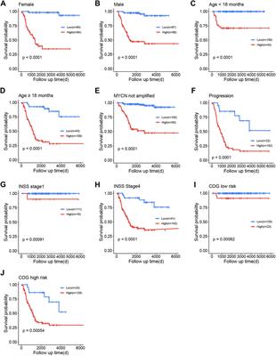 Ferroptosis-related gene signatures in neuroblastoma associated with prognosis